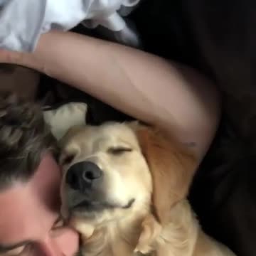 Baby and puppy besties love playing outside together #147