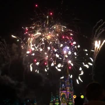 Disney World Fireworks 6