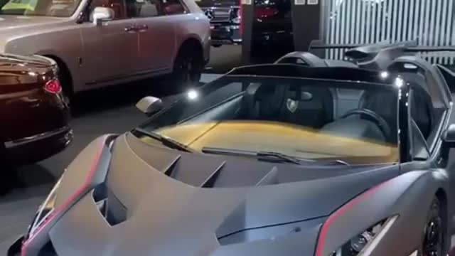 LAMBORGHINI VENENO Autodius