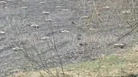 The Armed Forces of Ukraine continue to mine fields, preventing civilians from carrying out sowing