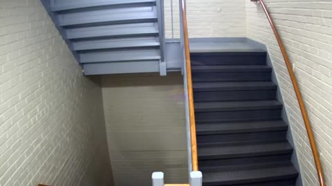 3880FHOB03Stair5_2021-01-06_02h00min00s323ms.mp4
