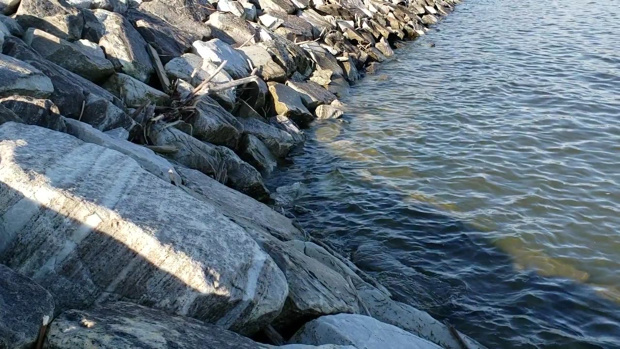 Chespapeake Bay : Water lapping against Rocks