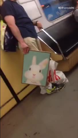 Sign follow the rabbit painting and on phone