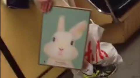 Sign follow the rabbit painting and on phone