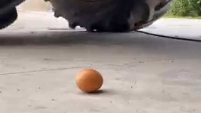 🔥Egg Vs tractor 🔥:-what will happen???