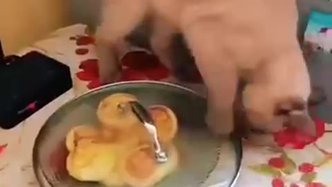 😂😂😂😂😂