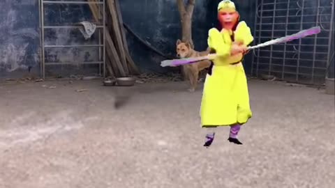 see where you run