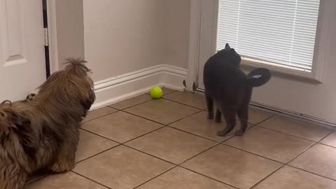 One was making him laugh