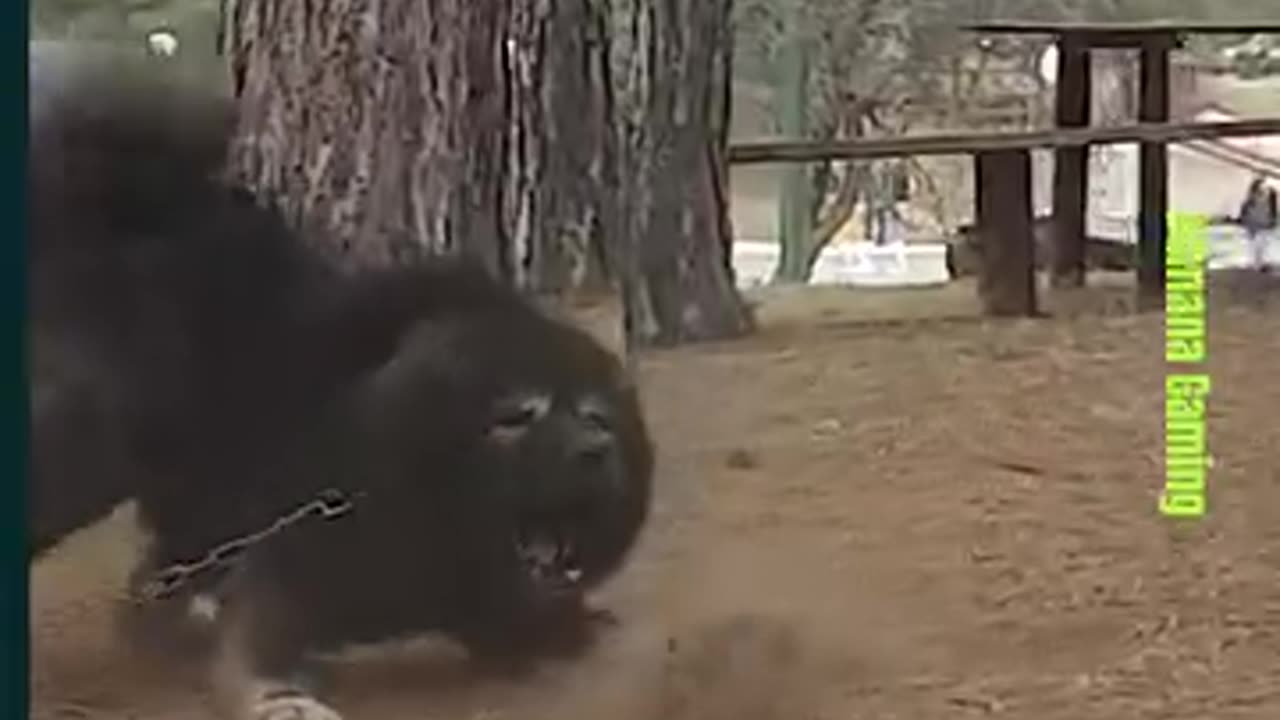 Stay Out Of Their Environment