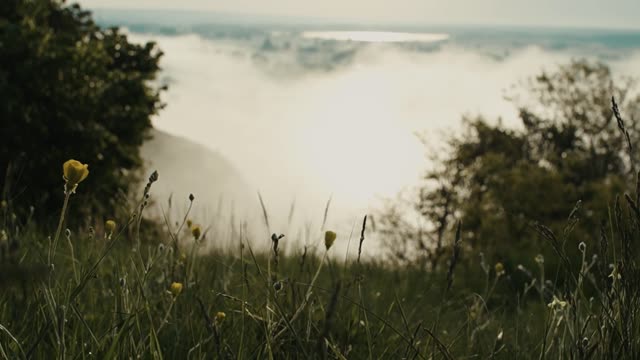 nature mountains grass