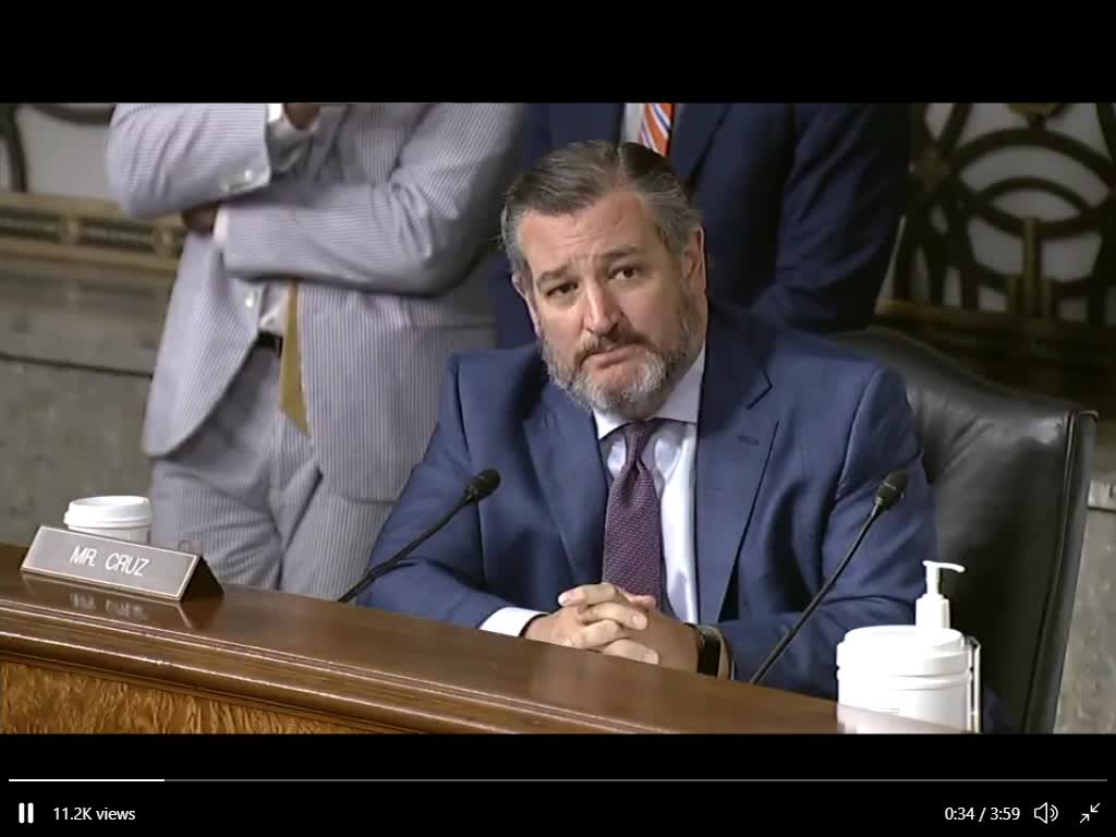 Sen Cruz highlights the problems with radical ATF DIR Nominee, David Chipman