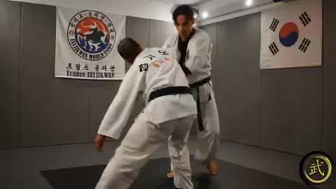 Hapkido