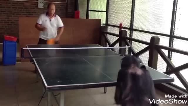 Baby Chimpanzee is having an amazing Table tennis skill that his opponent can't stand against him