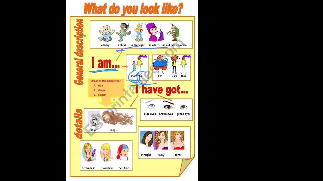 C3 what do you look like?