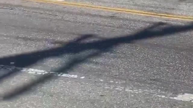 Driver Spins to Avoid Spike Strip during Pursuit