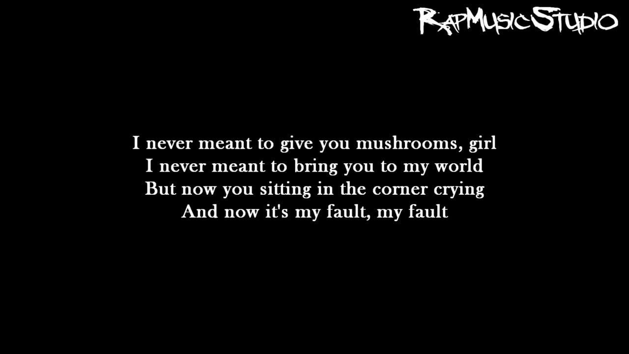 Eminem My Fault | Lyrics on screen
