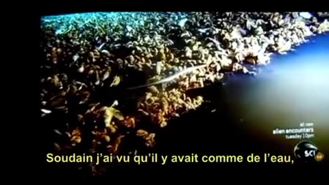 ⚡️ メキシコ湾の水深800メートル以上で、長さ20メートルの砂浜のある海底湖のようなものを発見した。 マイク・デグルーイ