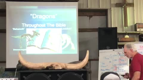 Dinosaurs, dragons and Bible