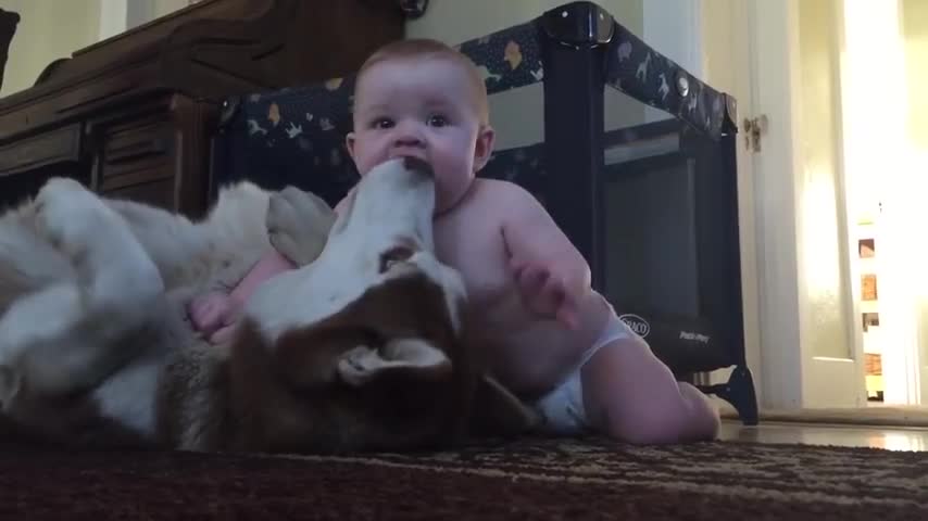 Baby and dog show love