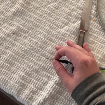 funny|prank|jokes|funny jokes|dad jokes|funny memes|funny video|fun|laughing|funny animal|knock