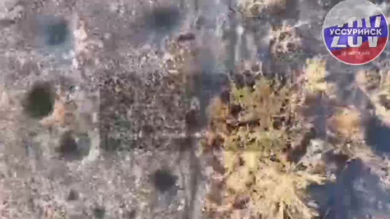 Russian drones finishing off ukrainian troops