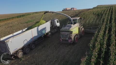 compilation of videos, agriculture