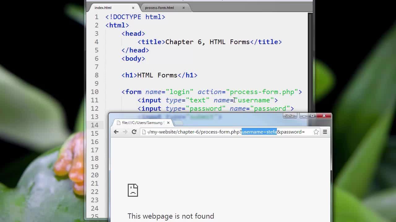 HTML5_PRO_ch6-04-forms-part-4-0618 (720p)