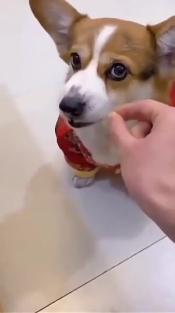 Beim 3.Mal ist Schluss