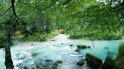 running water in nature & tranquil music