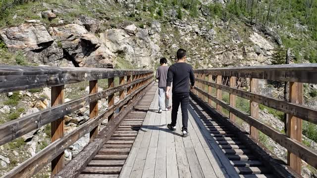 Floating Bridge in the Middle of Nature