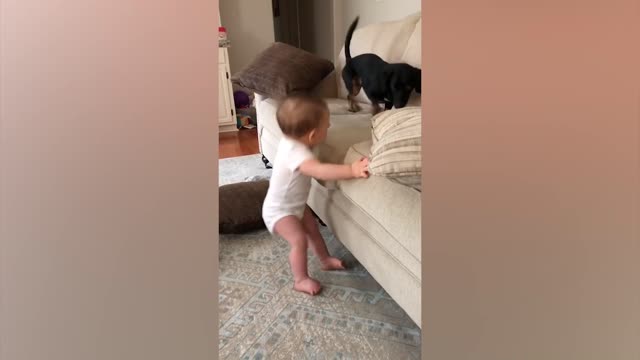 Cute Babies Playing With Dogs Compilation