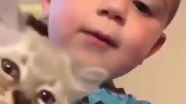 Cat and baby same voice