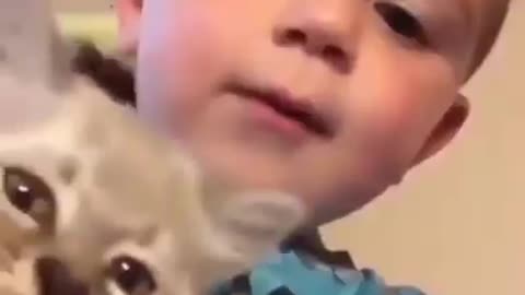 Cat and baby same voice