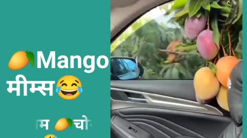 🥭Mango chor 😜😜😜😜new style funny comedy video