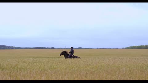 A rider on a horse is galloping across the field