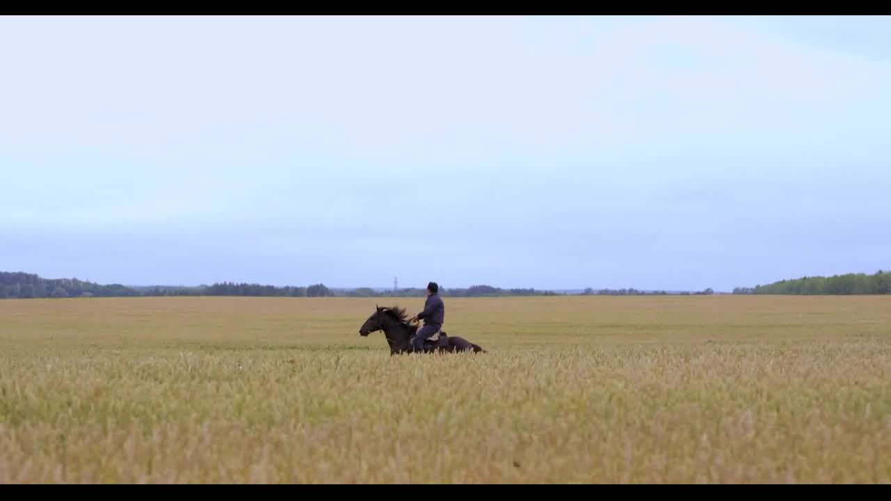 A rider on a horse is galloping across the field