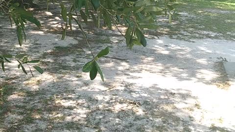 SRI LANKA'S ECONOMY COMPLETELY COLLAPSE: IT'S COMING TO BABYLON AMERICA SOON, MOTB WORLDWIDE!!!