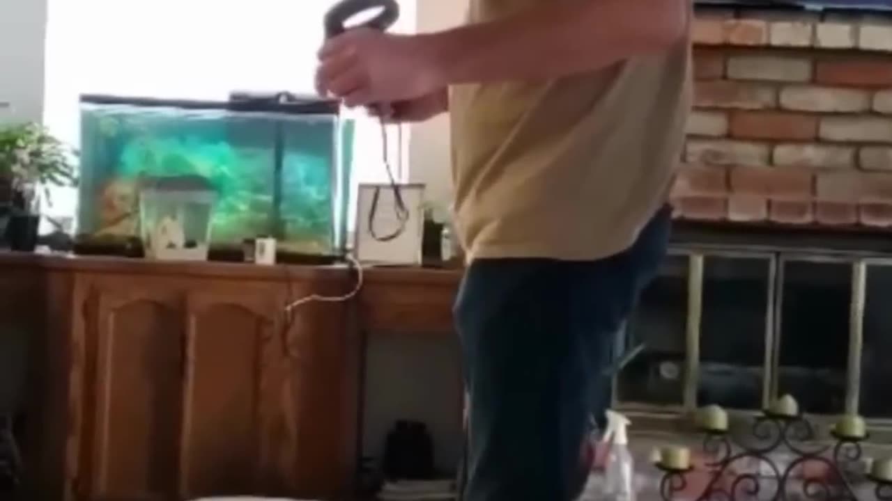 You Laugh 😂😂You Lose #viral #funny #fails