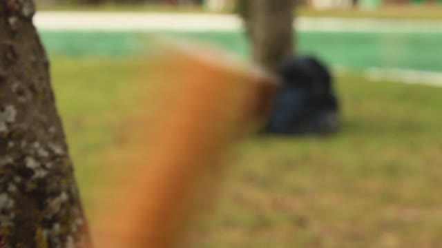 The Cigarette Stalker
