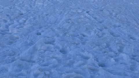 Dad Avoids Sledding Collision