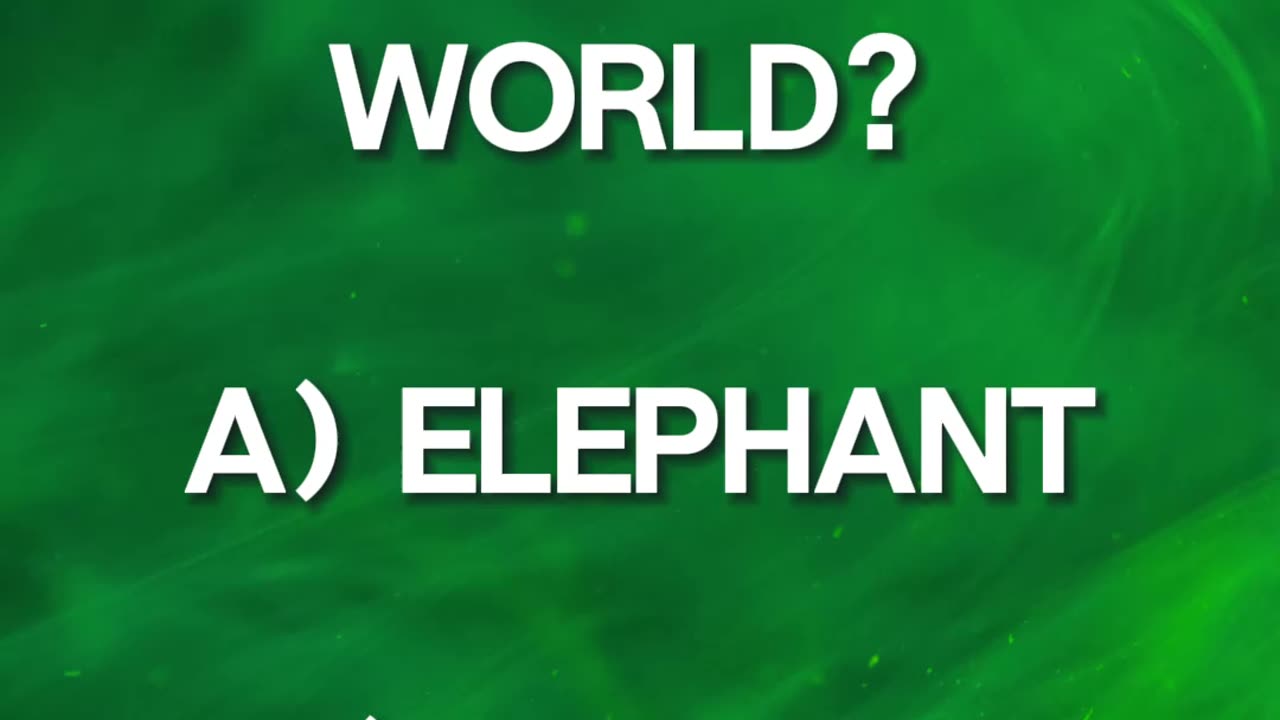 ❓Can You Answer The Question❓#14