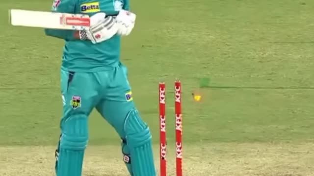 Stumps Flying wickets || sports || cricket short video || smart bowling