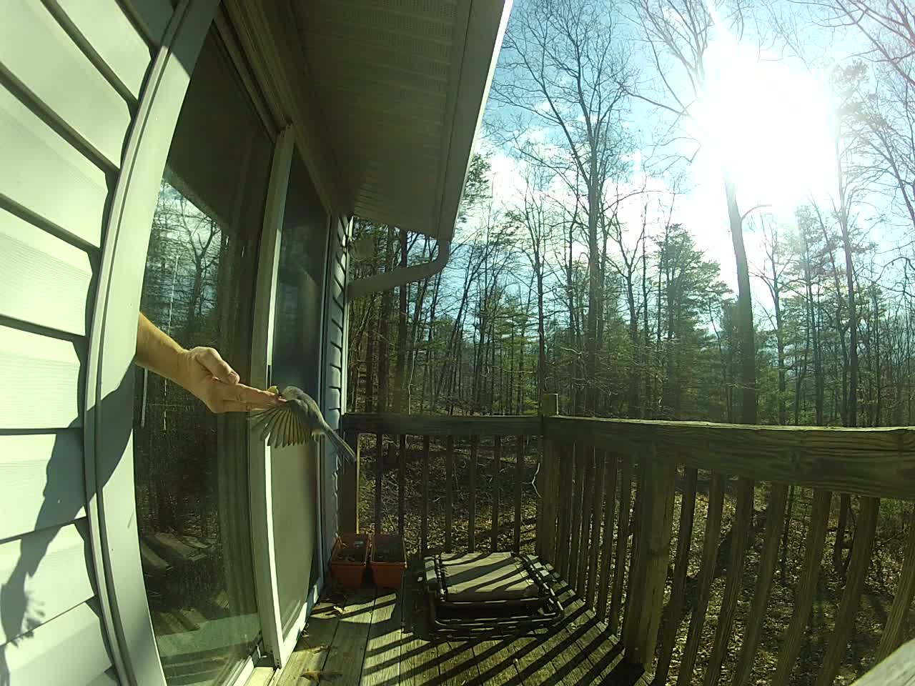 Squirrel-Proof Birdfeeder