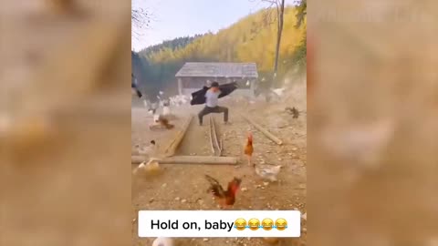 Watch this chicken master 🤣 #Shorts