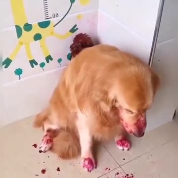 Pra começar bem a semana hahaha 🤣🤣