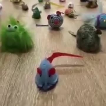 squid game cat version