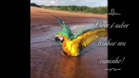 God is in everything, especially in the little things!
