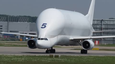 Airbus Beluga landing and takeoff at Finkenwerder, EDHI-19