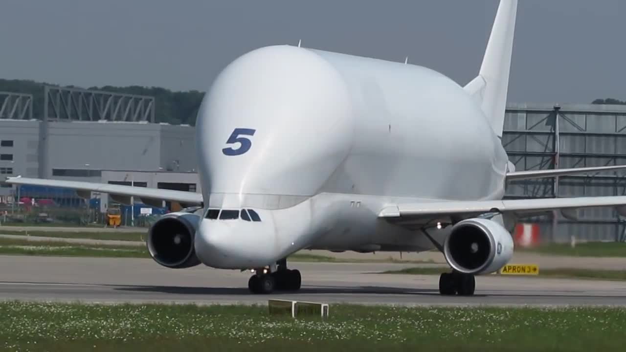 Airbus Beluga landing and takeoff at Finkenwerder, EDHI-19