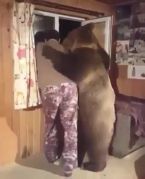 A Melhor companhia pra esse frio é um urso.